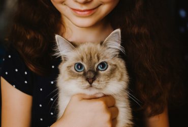 Come riconoscere i segnali di malattia