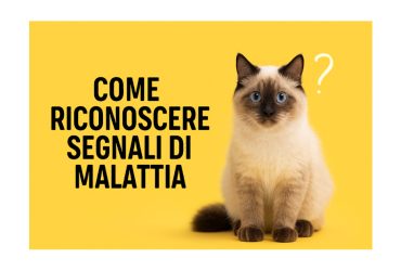 Come riconoscere i segnali di malattia