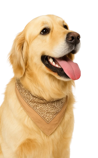 cane_bandana-r